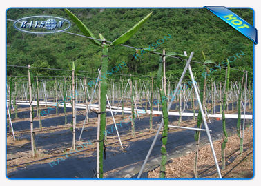 EnviroのLandscapeAgricultureの非編まれたカバーのための反紫外線ポリプロピレンの庭の雑草防除の生地/マット