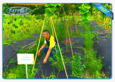 Enviroの菜園の雑草の障壁の農業非編まれたカバー地面の雑草防除の生地
