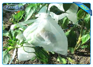 NonwovenのAgicultureの植物はフルーツの成長のための袋を育て、保護、ポテトは袋を育てます