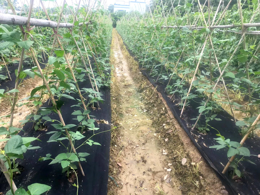 30グラム100％PP農業不織布カバースパンボンド20メートル雑草防除