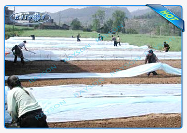 朝鮮人参の植わることのための耐久の極度の広い農業非編まれたカバー