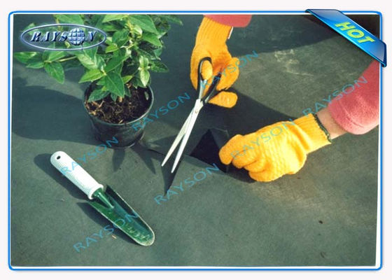 3%の紫外線保護は10年黒い色の農業の非編まれたカバーSpunbondを保証する