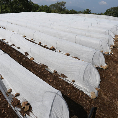 100%のバージンPP Spunbondの農業の非編まれた植物のフロスト保護カバー
